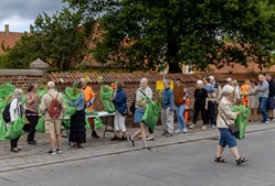 Roskilde blomstrer: farverige forårsløg og Klimt-inspirerede sommerblomster i byens haver