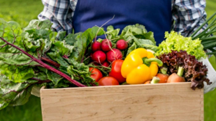 Virksomhedsbesøg med foredrag om køkkenhave