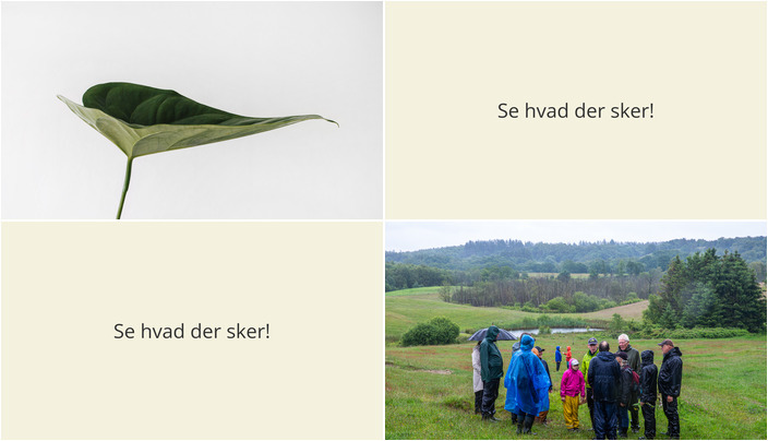 Gør klar til en grønnere weekend i Egtved: Plantedage for hele familien