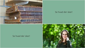 Kommende Uge i Asnæs: Fra Lokale Arkiver til Grønne Initiativer