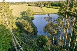 Top 6 over dyreste boliger til salg i Hvalsø. Priser op til 18.950.000 kr