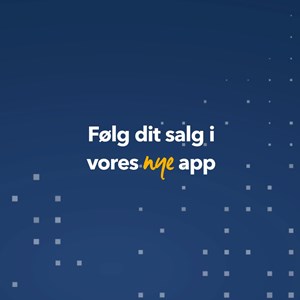 Opslagsbillede