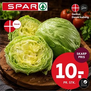 Opslagsbillede