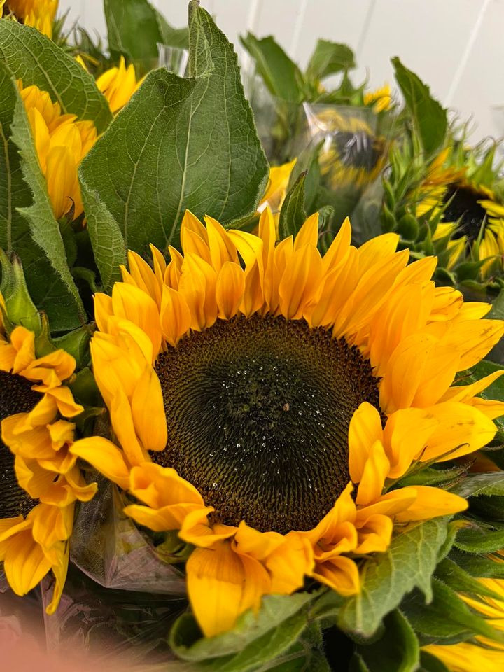 Det nyeste på Horsens’ opslagstavle