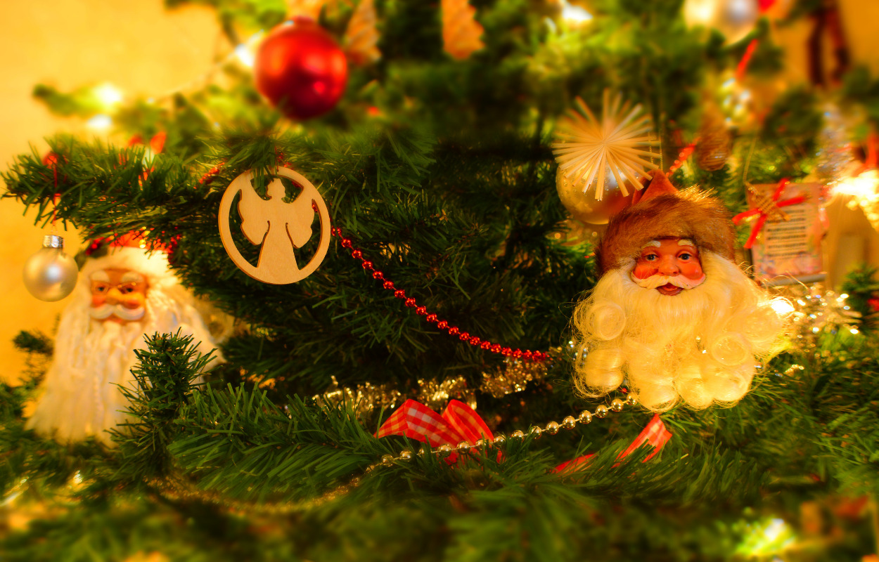 Sådan opstod kravlenisserne