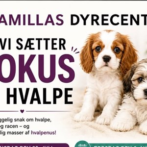 Opslagsbillede
