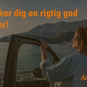 Opslagsbillede