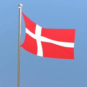 Opslagsbillede