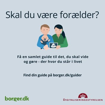 Opslagsbillede