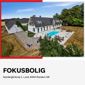 Opslagsbillede