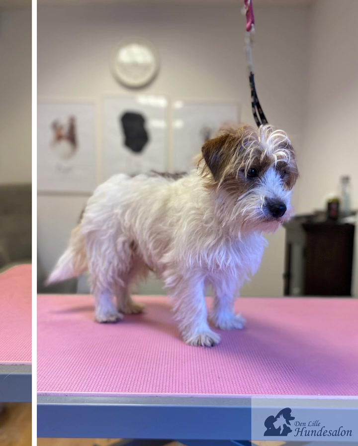 Hold dig ajour med dagens opdateringer fra Vejle