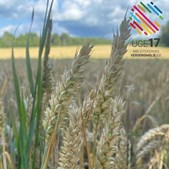 Langeland sætter scenen for debat om bæredygtigt landbrug