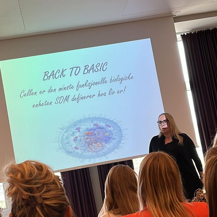 Opdatér dig her: Det nyeste fra Vejle