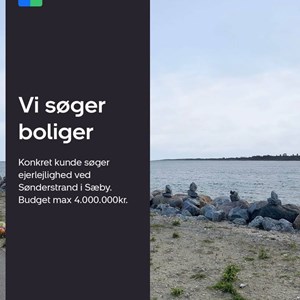 Opslagsbillede