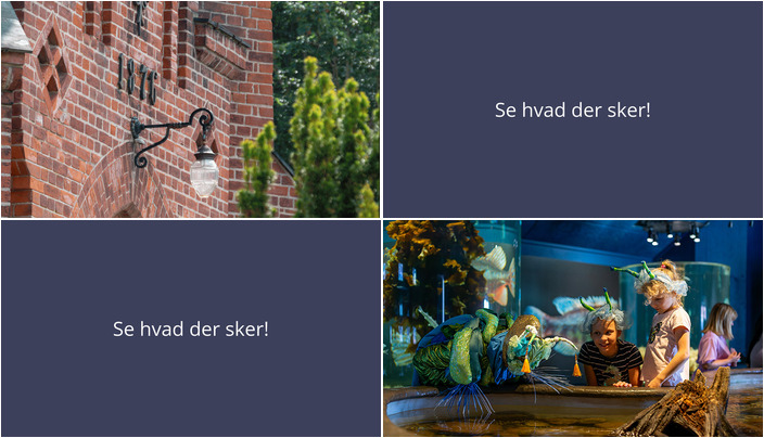 Weekendoplevelser i Faxe Ladeplads: Pilgrimsvandring og snegleperformance