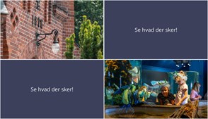 Weekendoplevelser i Faxe Ladeplads: Pilgrimsvandring og snegleperformance