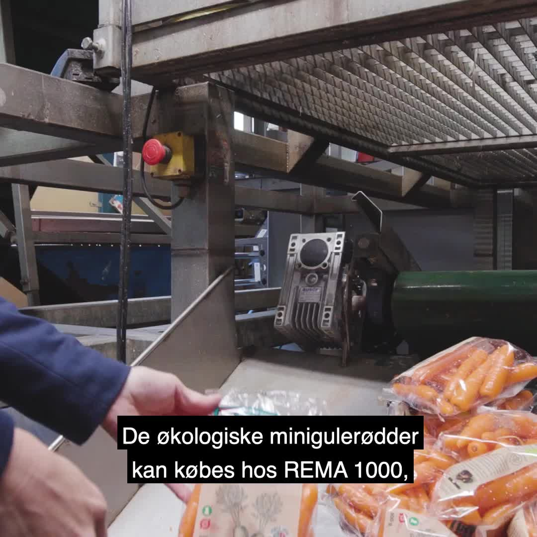 Det nyeste på Viby Js opslagstavle