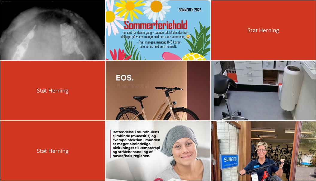 Nyt fra Dyrehospitalet Heden ApS, Herning Løve Apotek, Cykelkram ApS og 3 andre