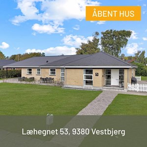 Opslagsbillede