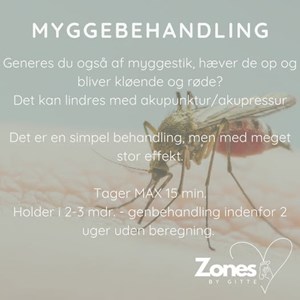 Opslagsbillede