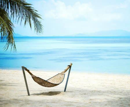 Opslagstavlen: Nyeste opdateringer fra Vejle