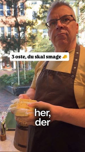 opslagsbillede