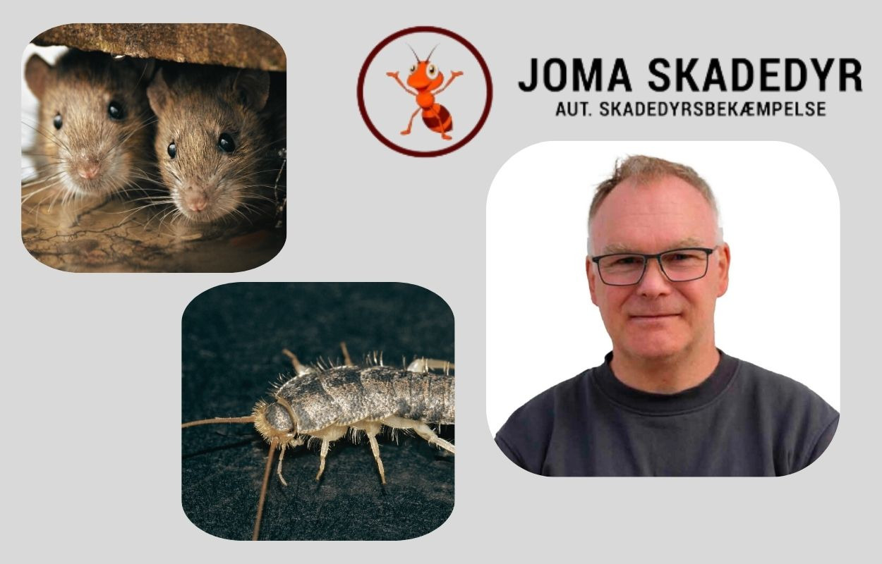 Effektiv skadedyrsbekæmpelse med Joma: Miljøvenlige løsninger mod bla. rotter og skægkræ