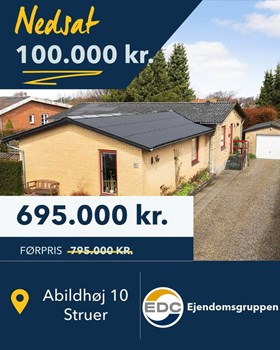 Opslagsbillede