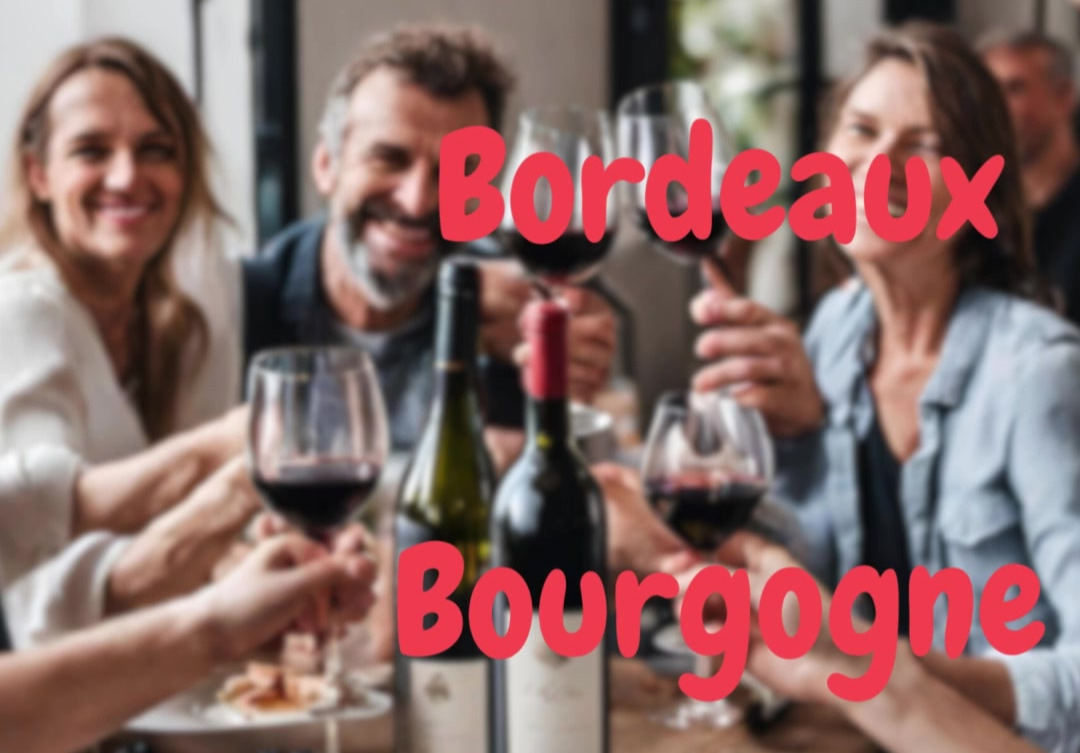 Udforsk Frankrigs vinunivers med VILDMEDVIN