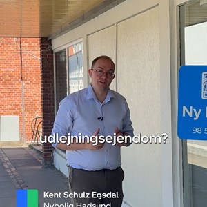 Opslagsbillede