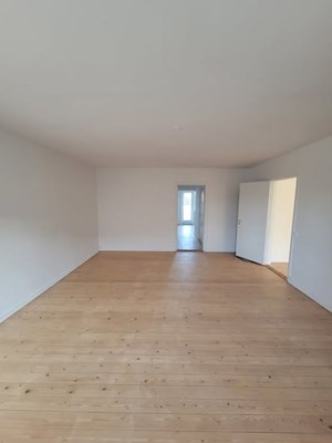opslagsbillede