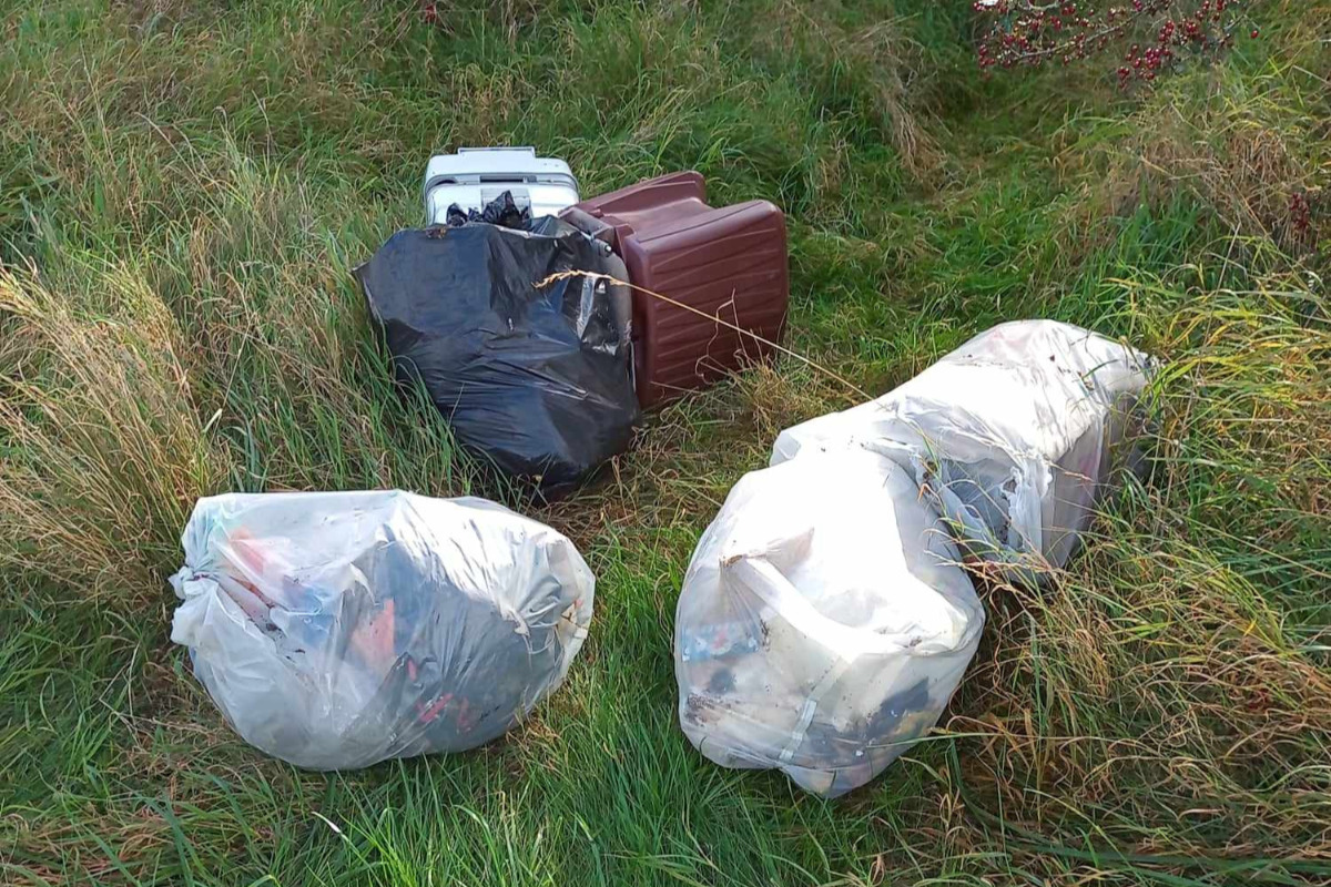 Læserbidrag: Affald droppet i naturområde