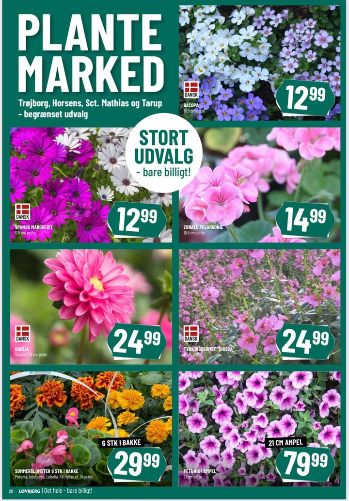 Løvbjerg Frederikshavn fejrer foråret med blomsterfest og tilbud