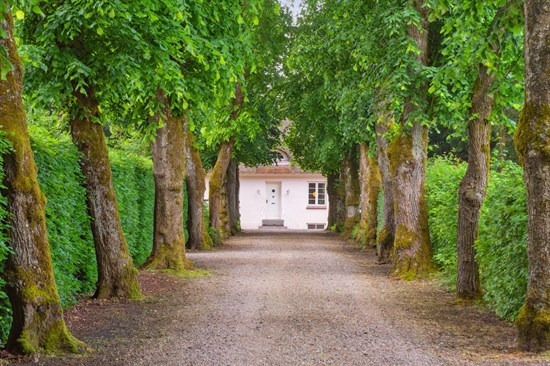 Er Herningvej 37 i Brande drømmehjemmet? Se de dyreste boliger til salg nu for op til 4.495.000 kr