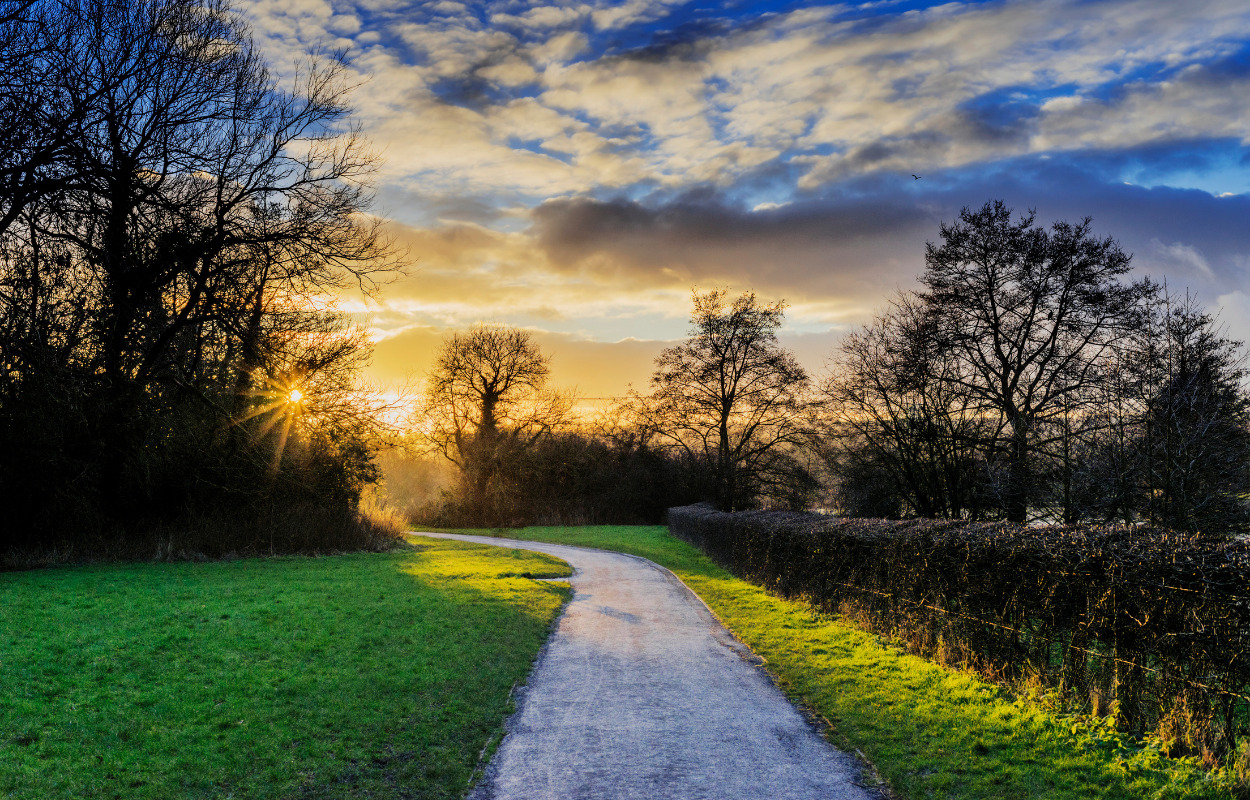 Ny grøn rute går gennem Holstebros største boligområde