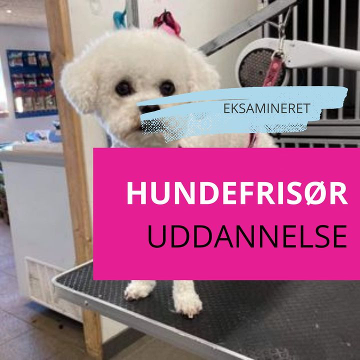 Nyt på opslagstavlen i Sæby