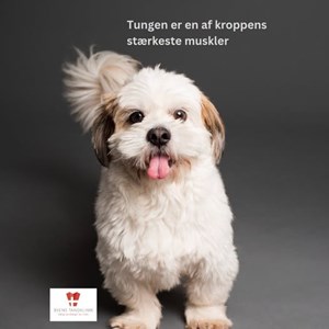 Opslagsbillede