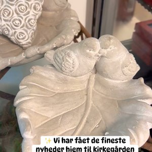 Opslagsbillede