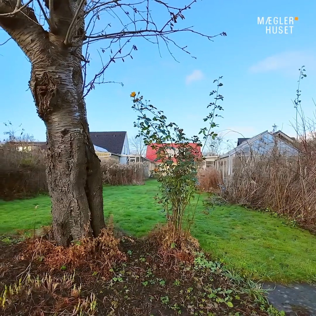 Nyt fra Mæglerhuset