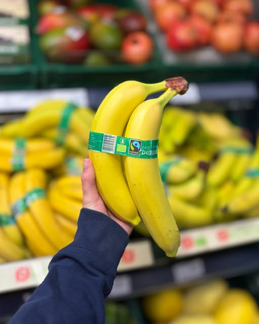 Rema 1000 Sindal tilbyder Fairtrade bananer til 8 kr