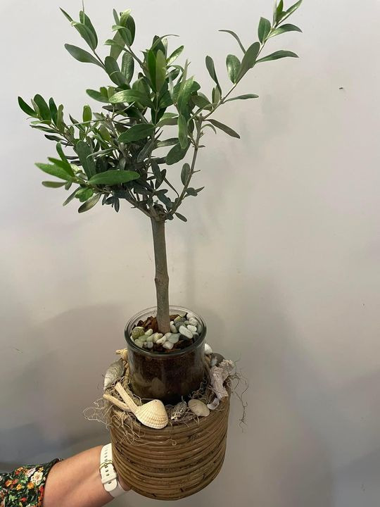 Se dagens updates fra Roslev her