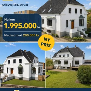 Opslagsbillede