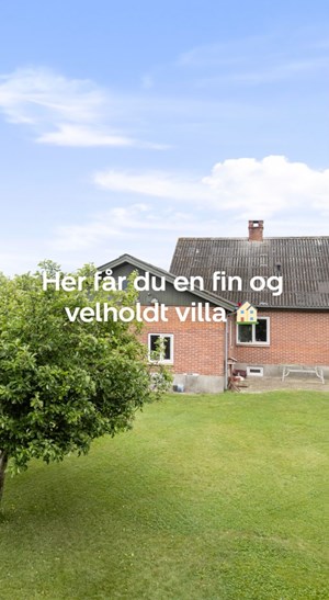 opslagsbillede