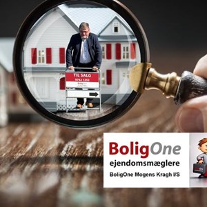 Opslagsbillede