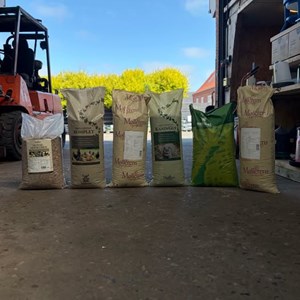 Opslagsbillede