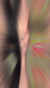 Opslagsbillede