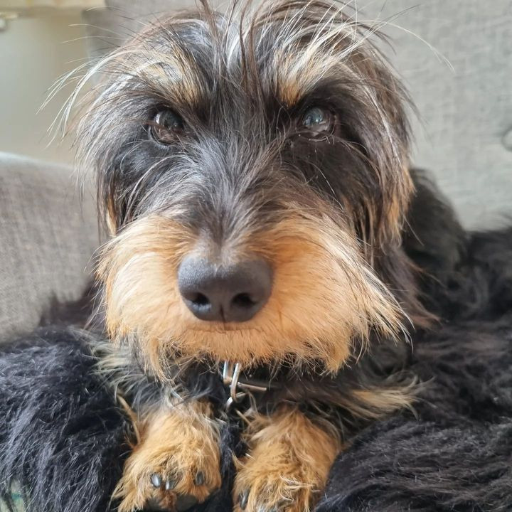 Opslagstavlen: Nyeste opdateringer fra Ulfborg