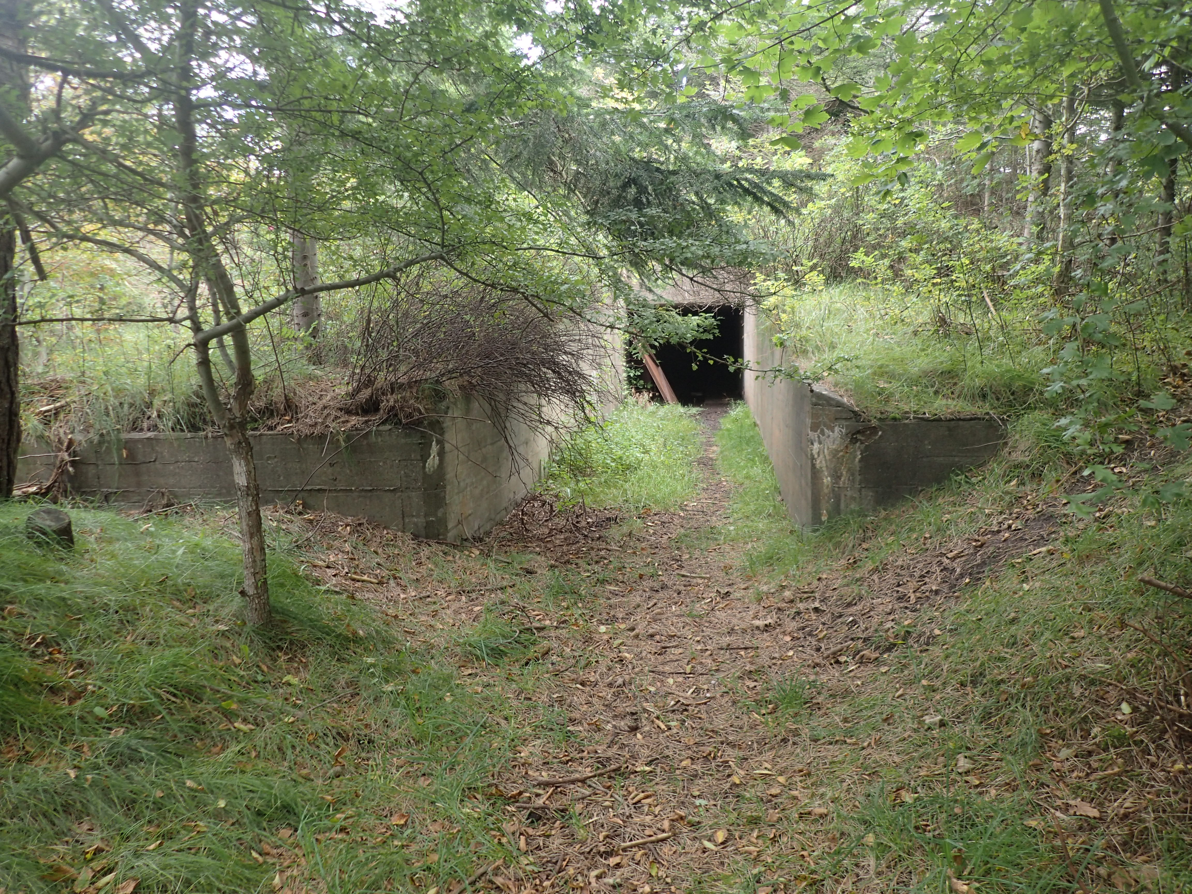 Oplev Hanstholms krigshistorie med spændende vandringer