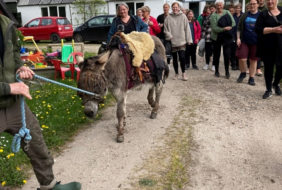 RENT LIV-inspirationsdag: Hvor kreativiteten fik lov at blomstre