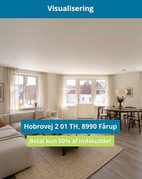 Opslagsbillede
